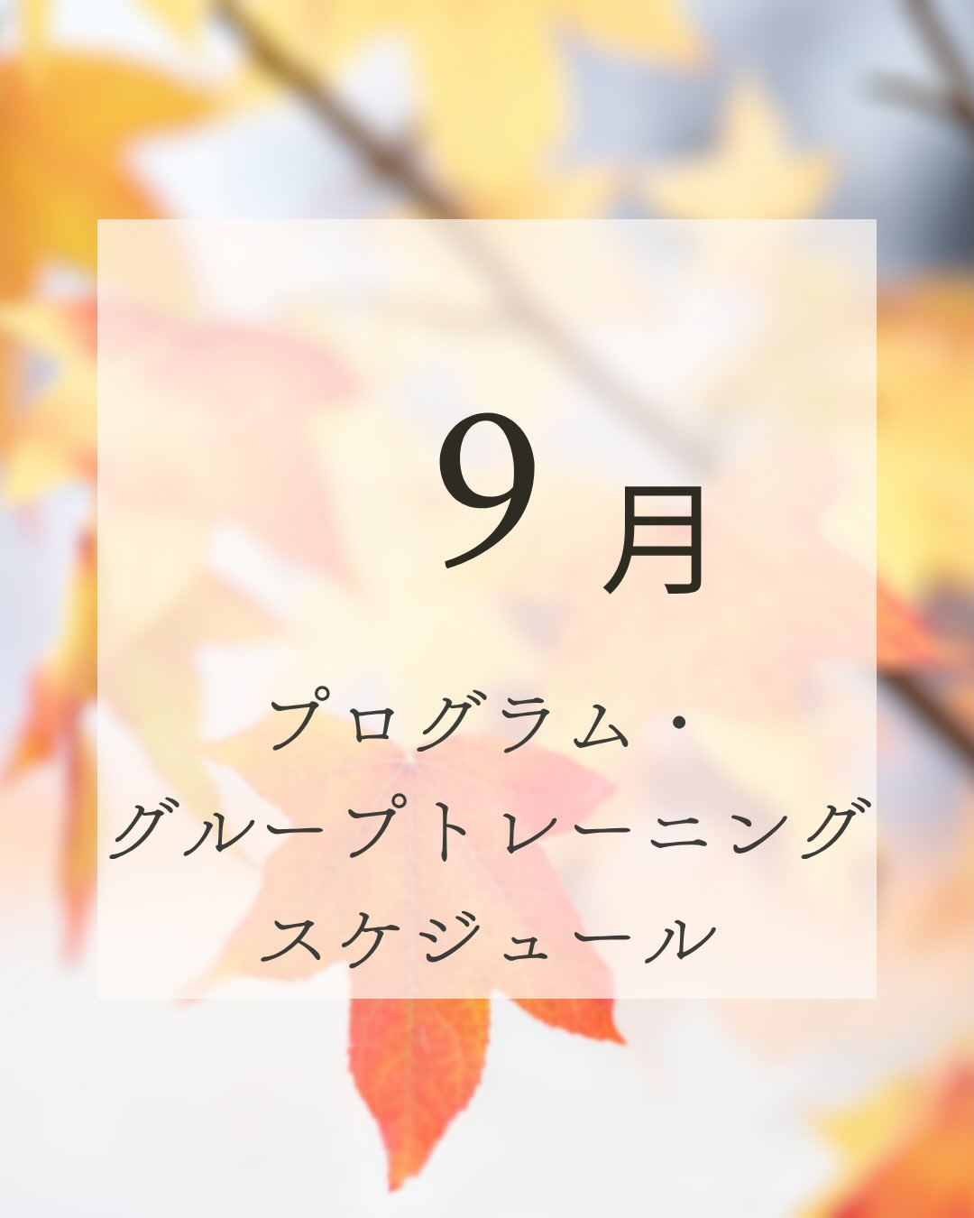 .
9月のプログラムスケジュールです！
スタジオ、プールプログラム、グループトレーニング初めての方でも大歓迎です♪
皆様のご参加お待ちしております！

#ホリデイスポーツクラブ
#東岸和田 
#ジム
