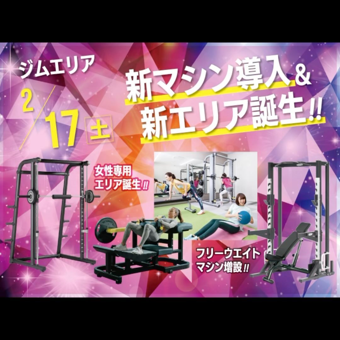 2月16日に朝8時〜17時までの約8時間
ジムエリアリニューアルをおこないました😮‍💨
頑張りました💪

新たに【女性限定エリア】設置🥰
●マルチパワー
●ヒップスラスト
New導入

【フリ